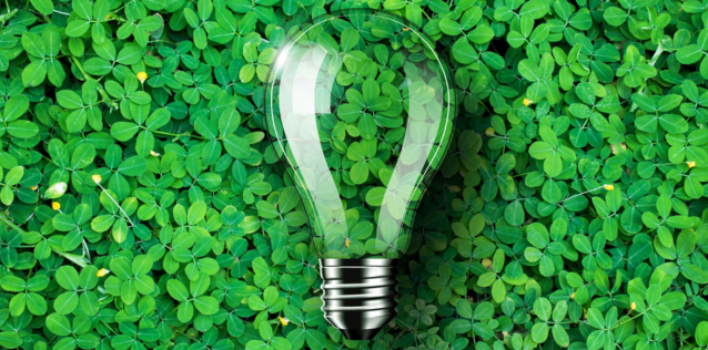 How Recycling Helps Our Planet and Our Pockets